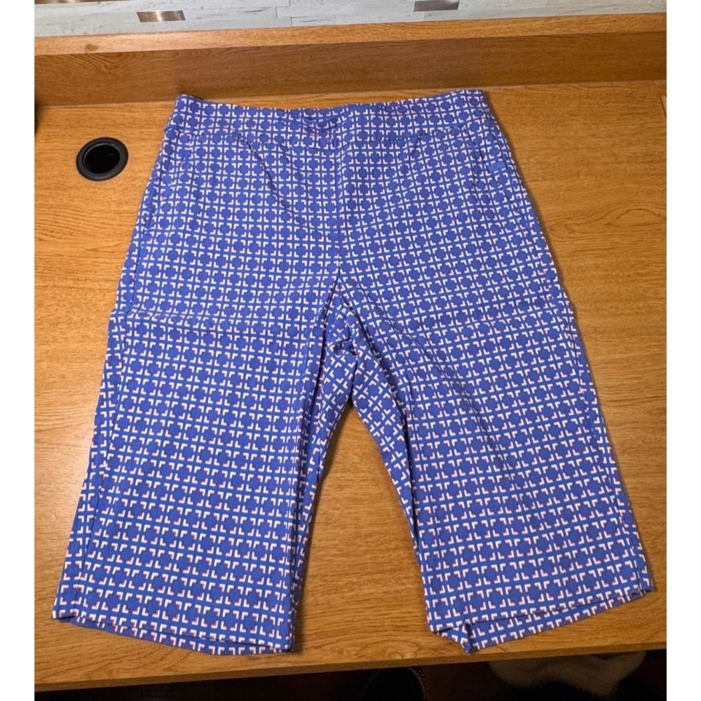 EP Pro Shorts Pint Geo Print Performance Bermudas Women's Large